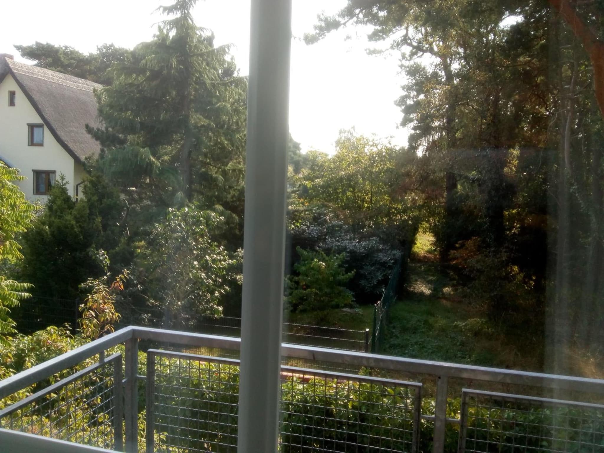 Kiefernblick photo 7