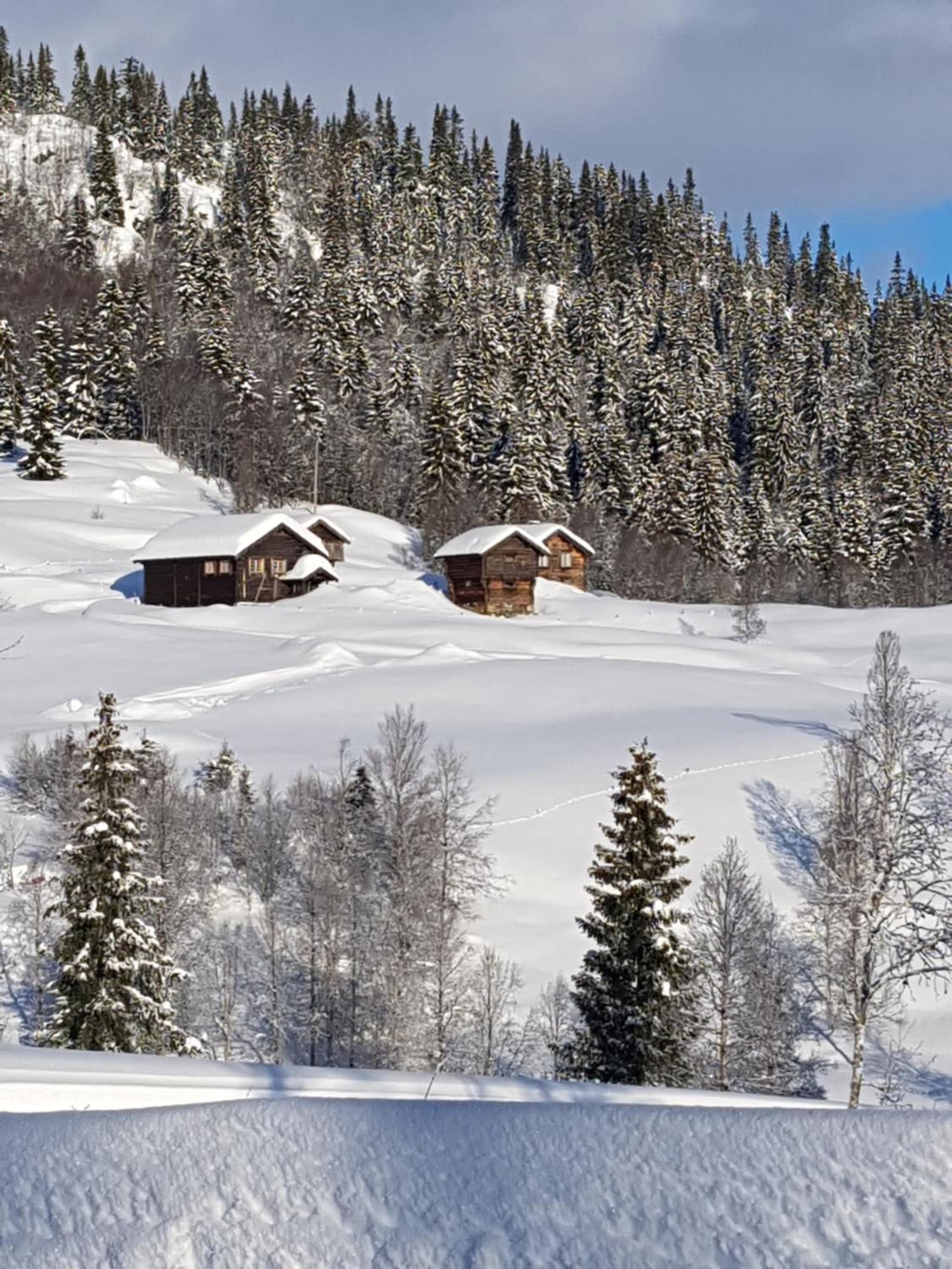 Kvambekk Gard i Åmotsdal photo 6