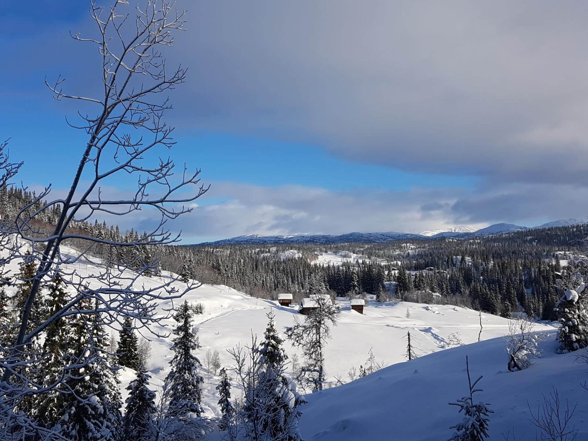 Kvambekk Gard i Åmotsdal photo 5
