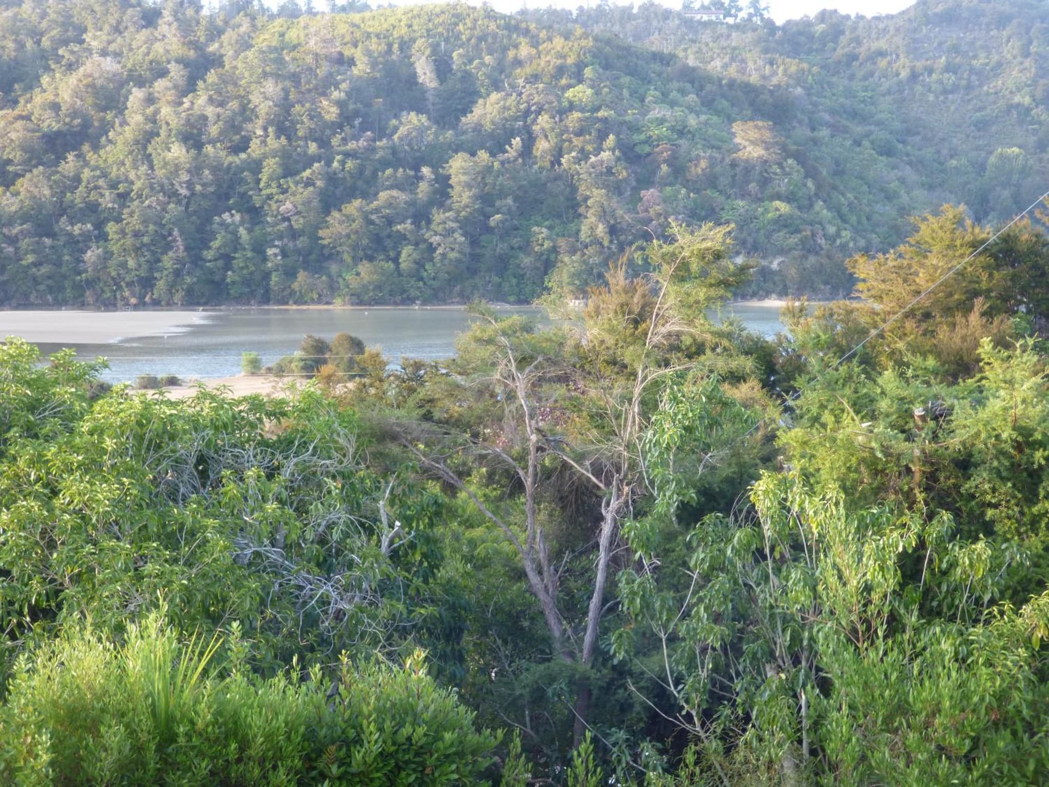 Kaiteriteri Abel Tasman Inlet Views photo 8