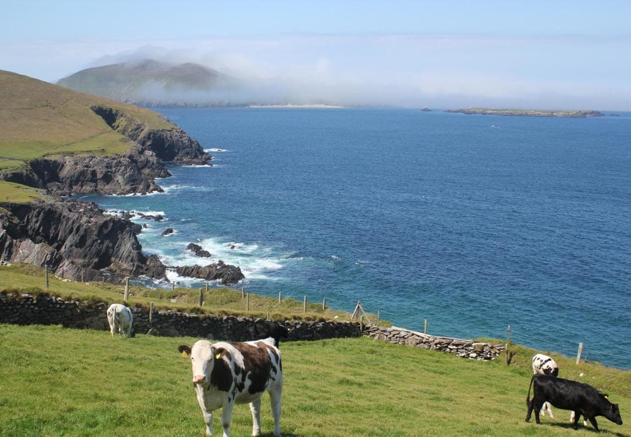 Dingle Harbour Cottages 3 Bed Sleeps 7 by Trident Holiday Homes photo 5