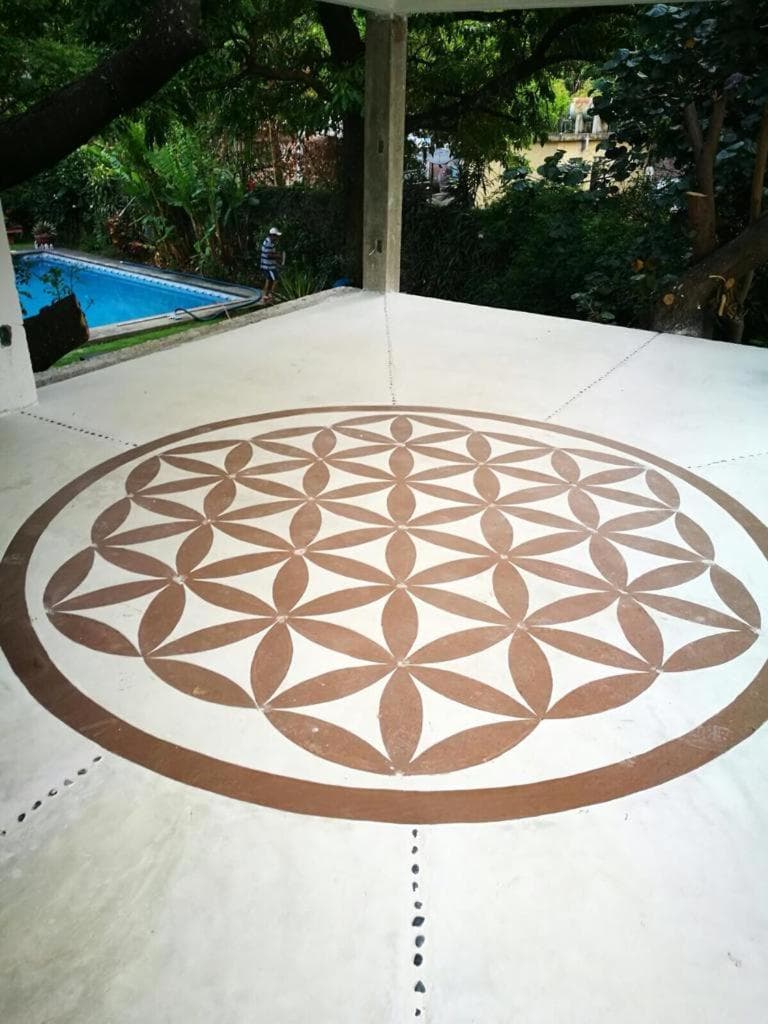 Casa Amor photo 5