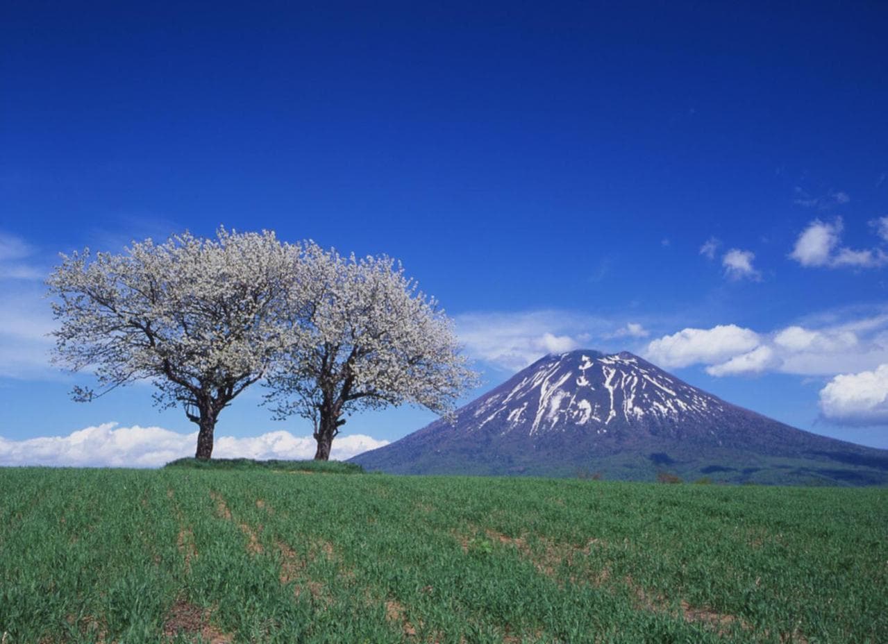 Niseko Northern Resort, An'nupuri photo 3