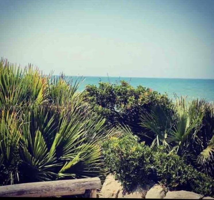 Playa Vacation House photo 6