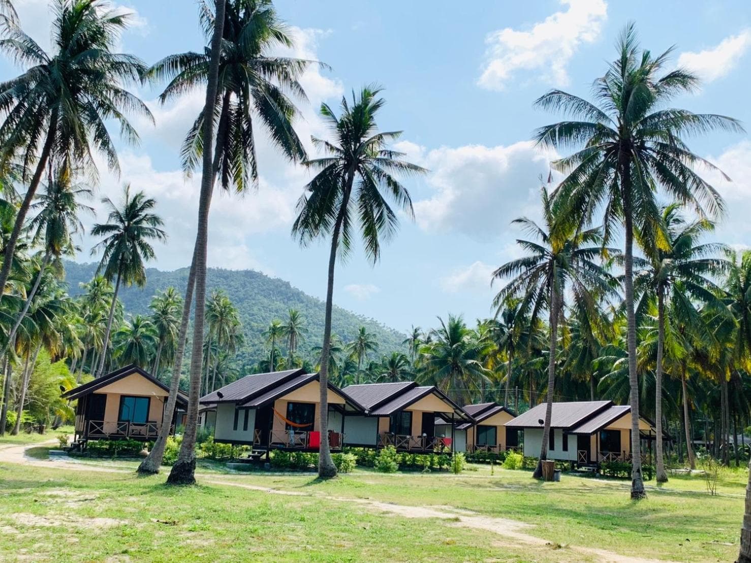Phangan Chalet Bungalow & House photo 4