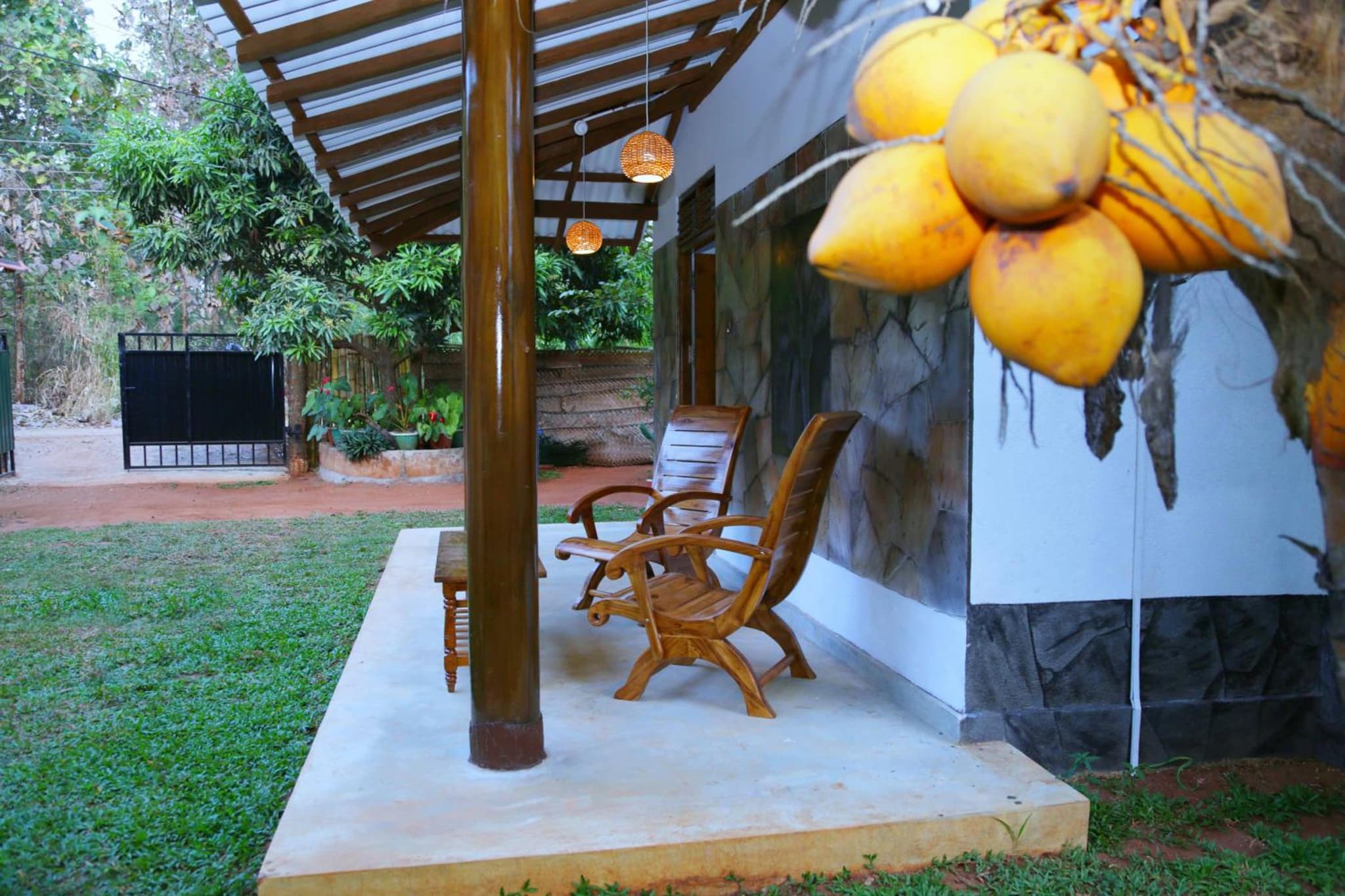 Dew Safari Cottage photo 9