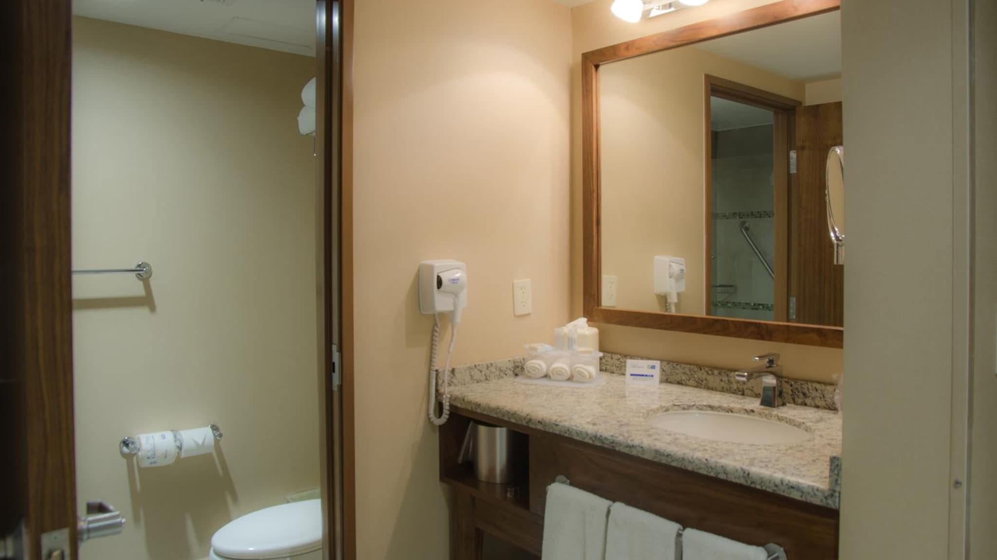 Holiday Inn Express and Suites Celaya by IHG photo 8