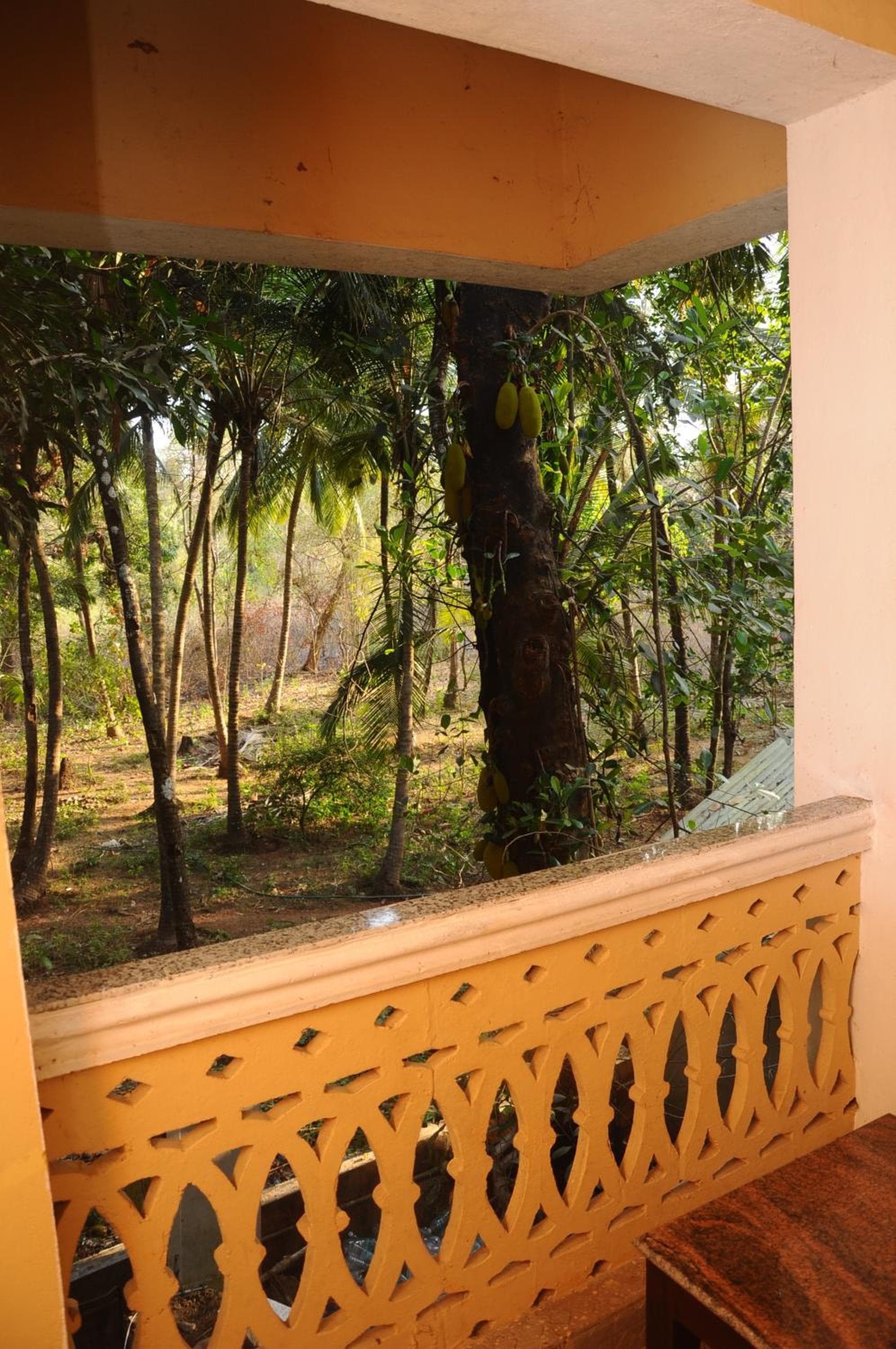 Palolem Guest House photo 5