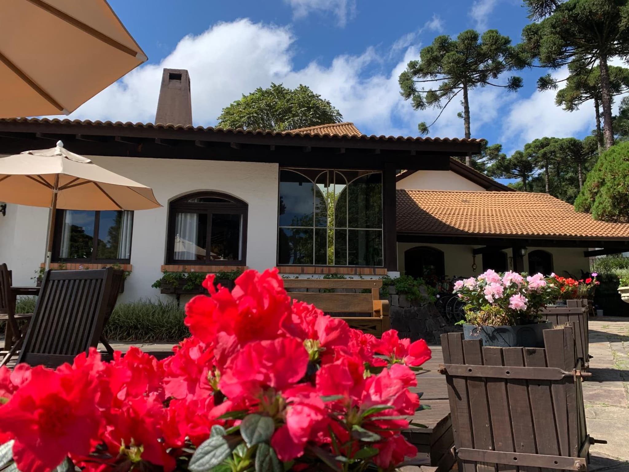 Vila Suzana Parque Hotel photo 9