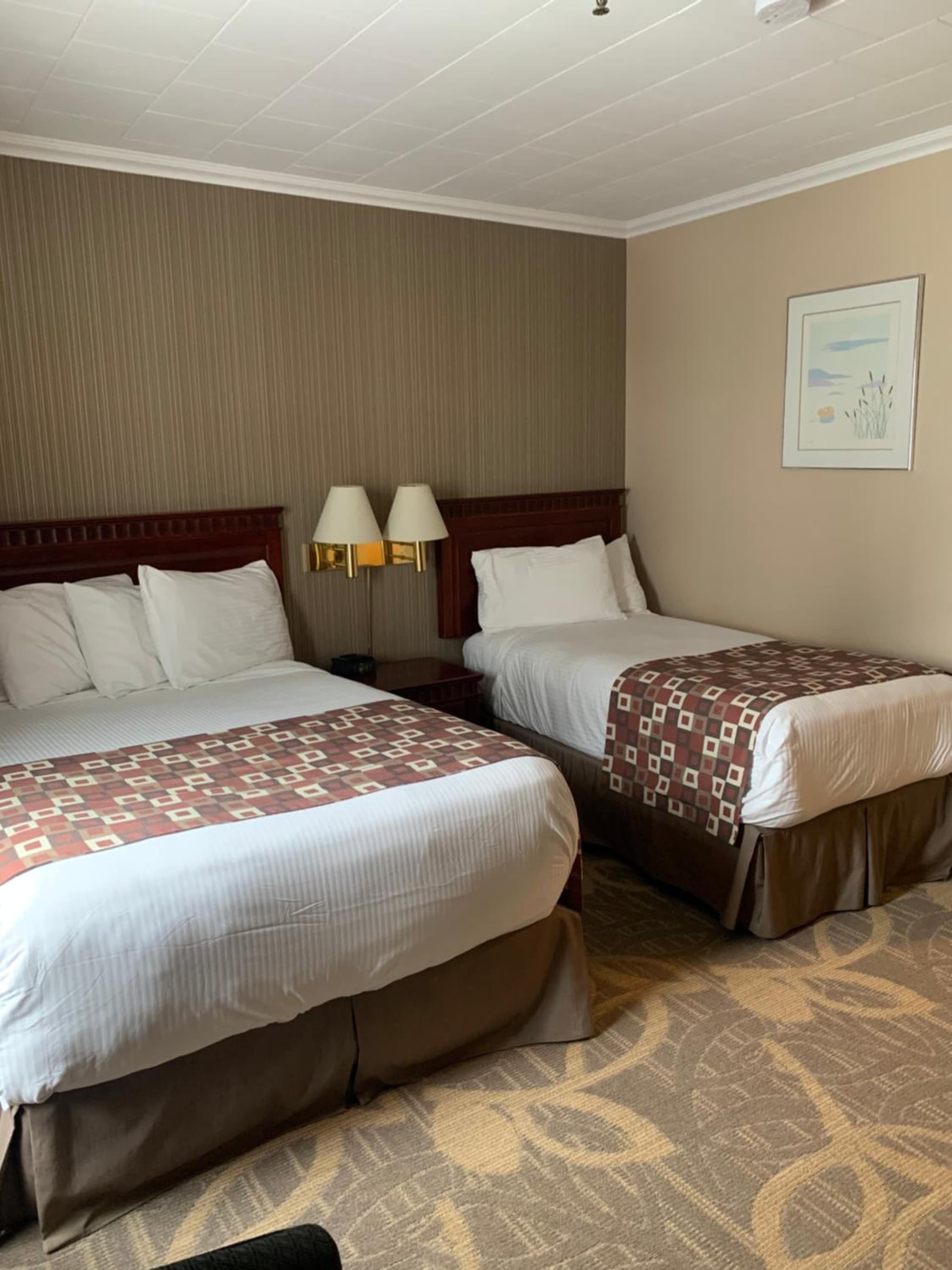 Albatross Hotel photo 4