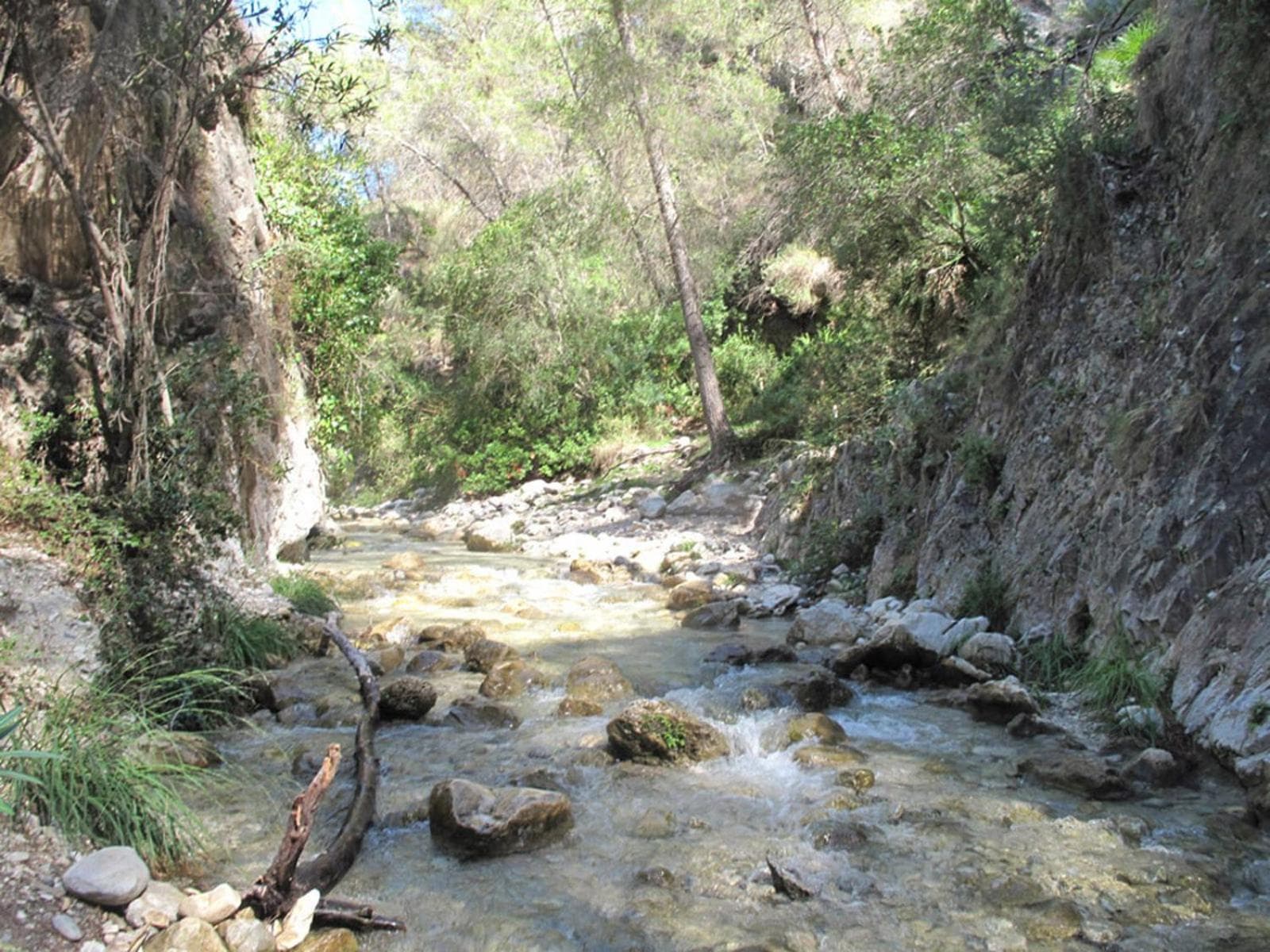 Cortijo Luque photo 3
