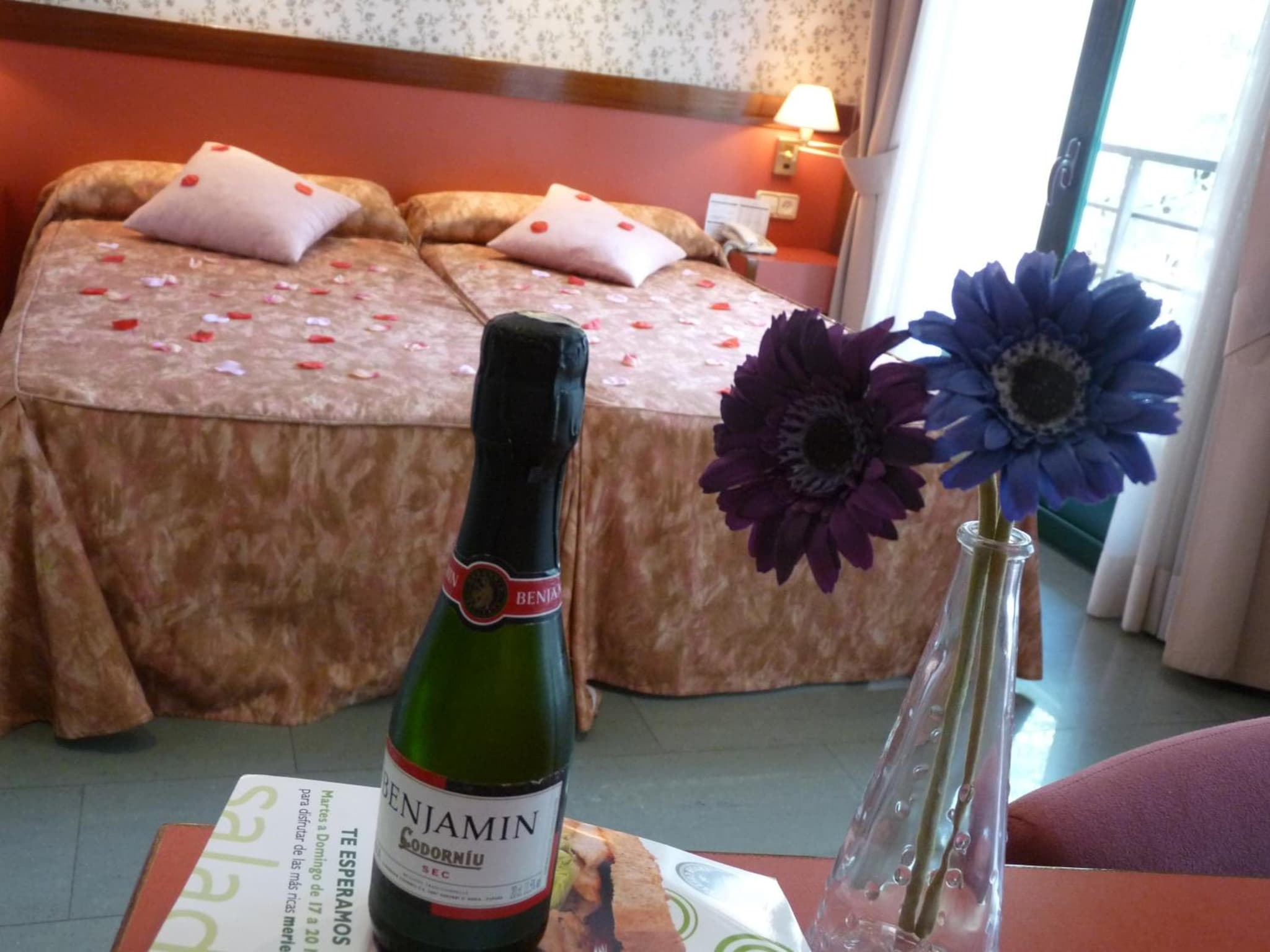 Hotel Jardín de Aranjuez photo 4