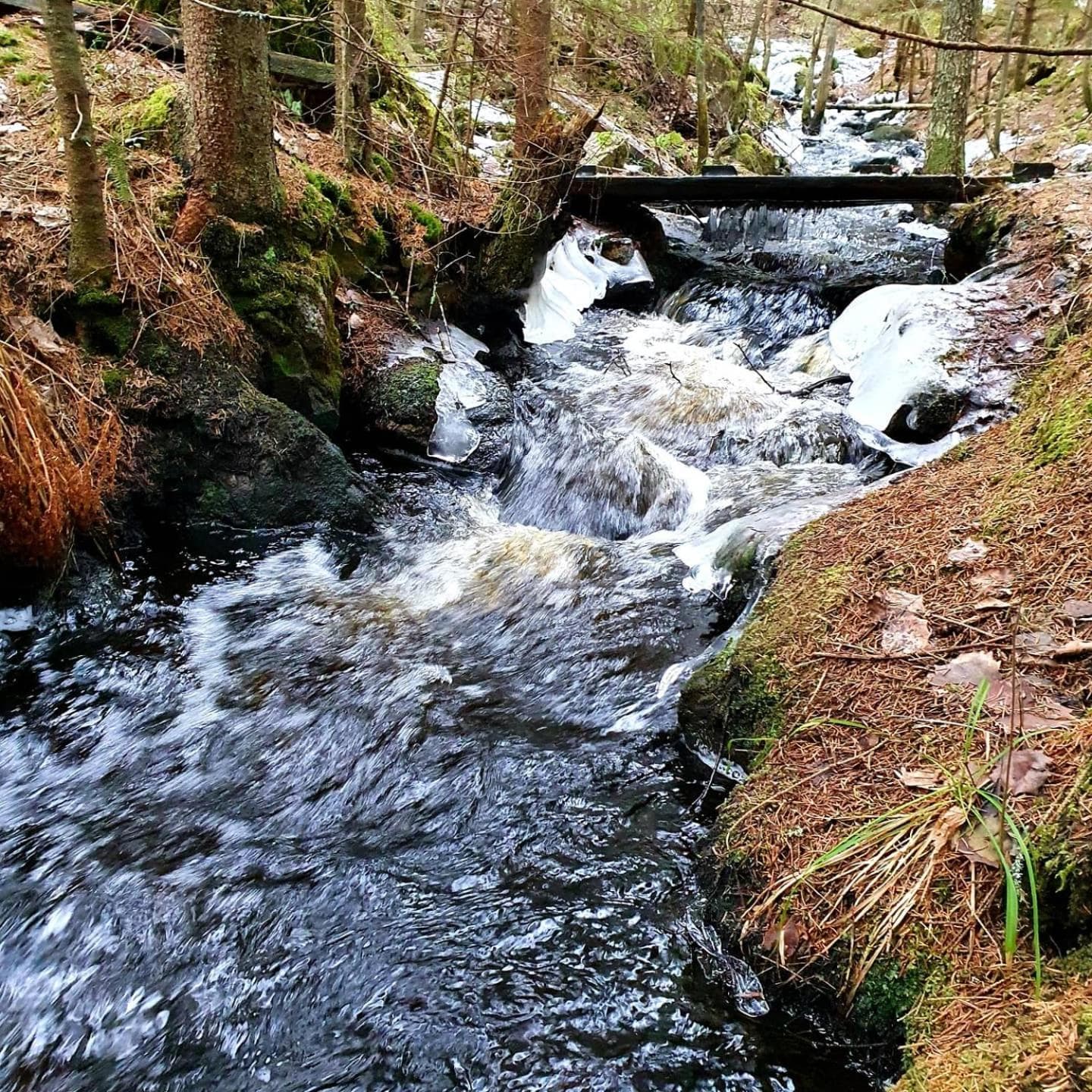 Koskenselän Lomakylä photo 7