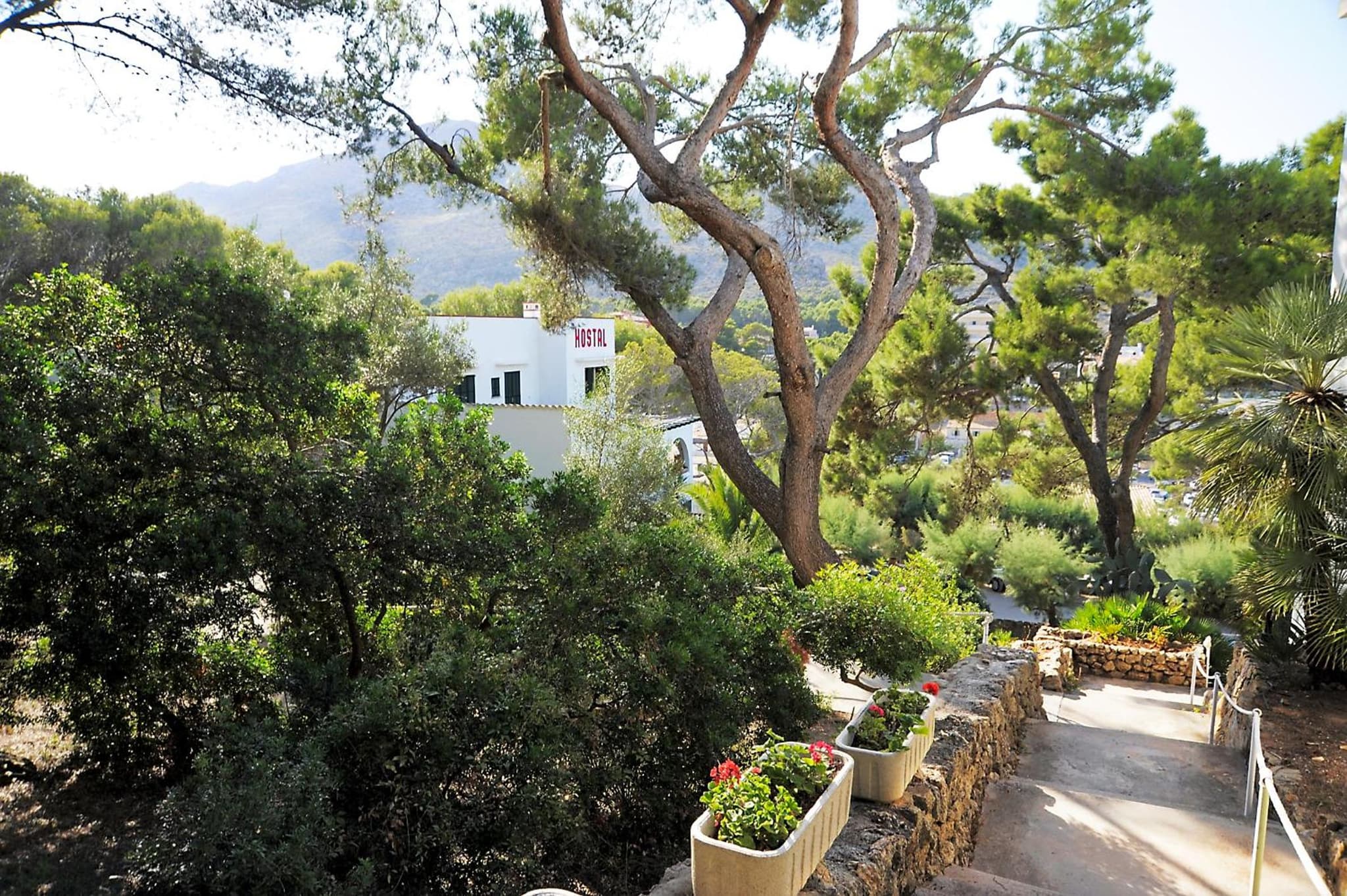 Hostal Los Pinos photo 4