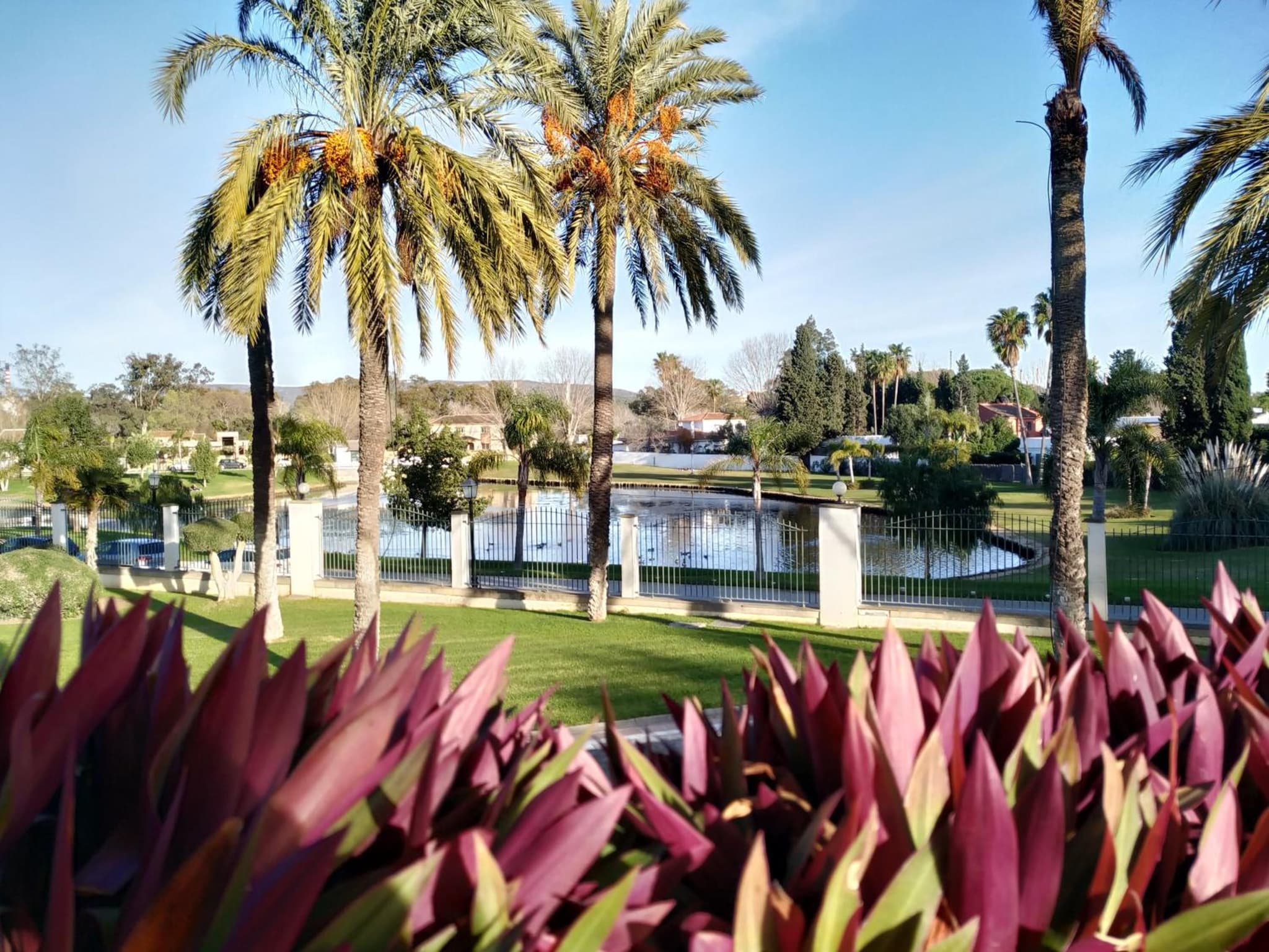 AZZ Guadacorte Campo de Gibraltar photo 9
