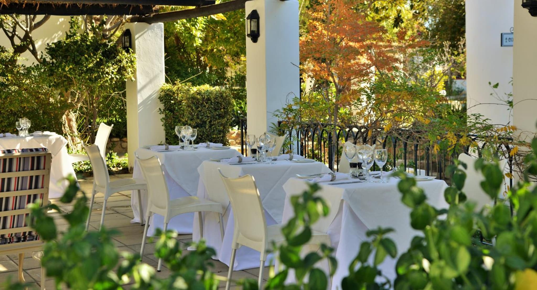 Swartberg Hotel, Cork Tree Collection photo 4