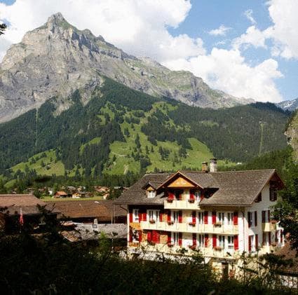 Hotel Des Alpes photo 9