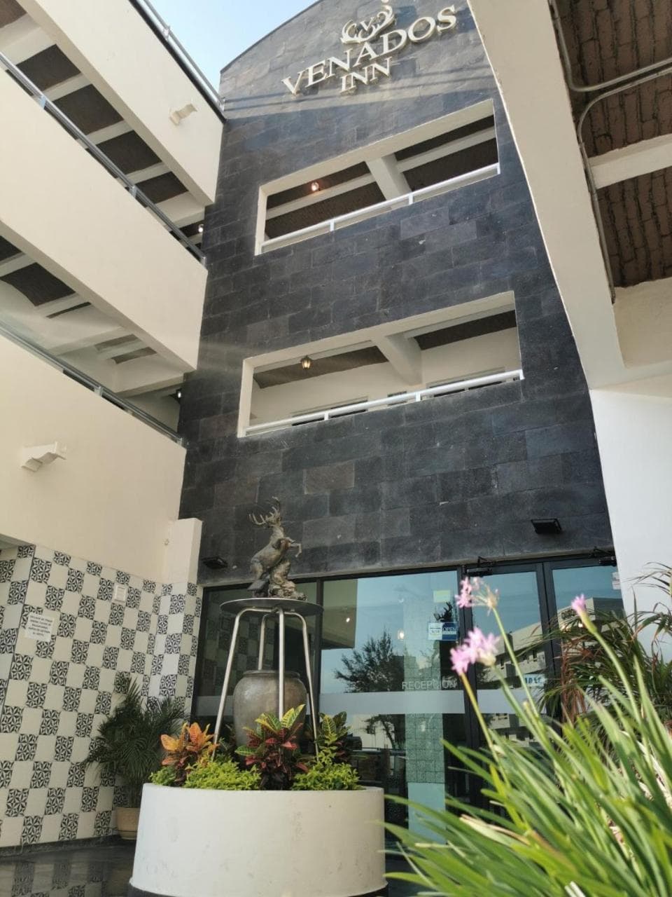 Venados Inn photo 9