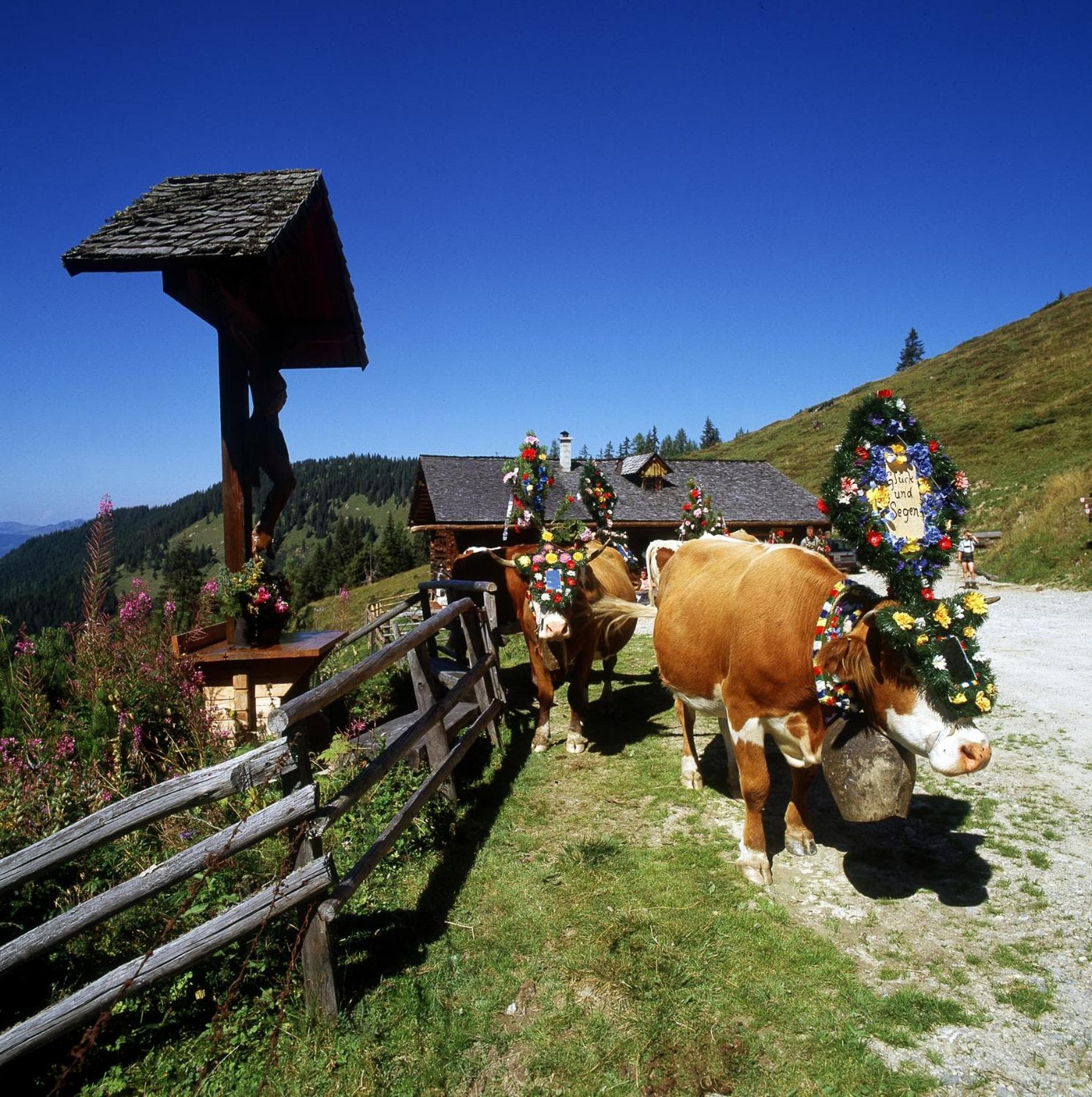 Schaidreithof photo 9