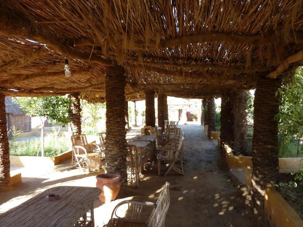 Badry Sahara Camp photo 7