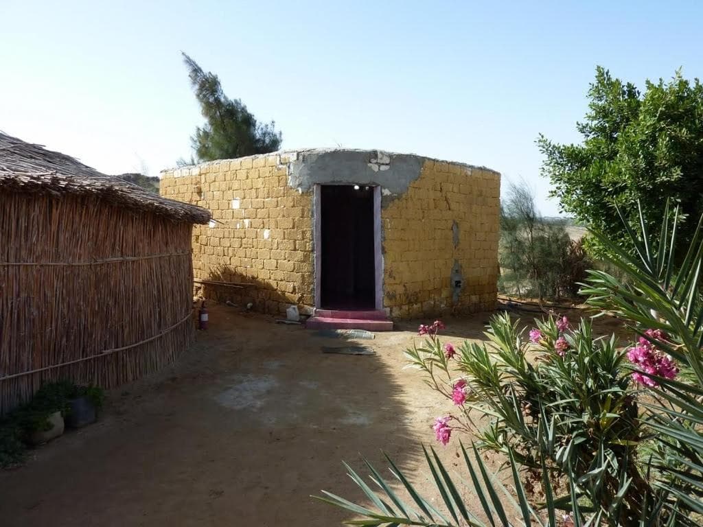 Badry Sahara Camp photo 8