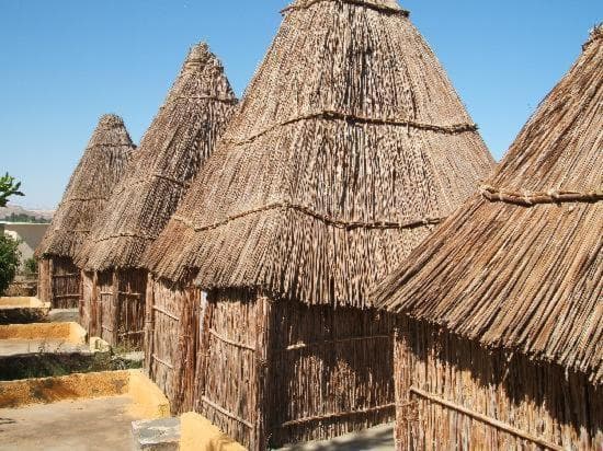 Badry Sahara Camp photo 5