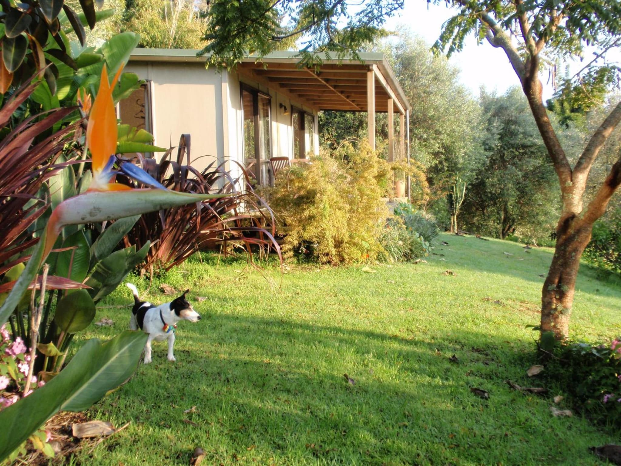 Wharepuke Subtropical Accommodation photo 8