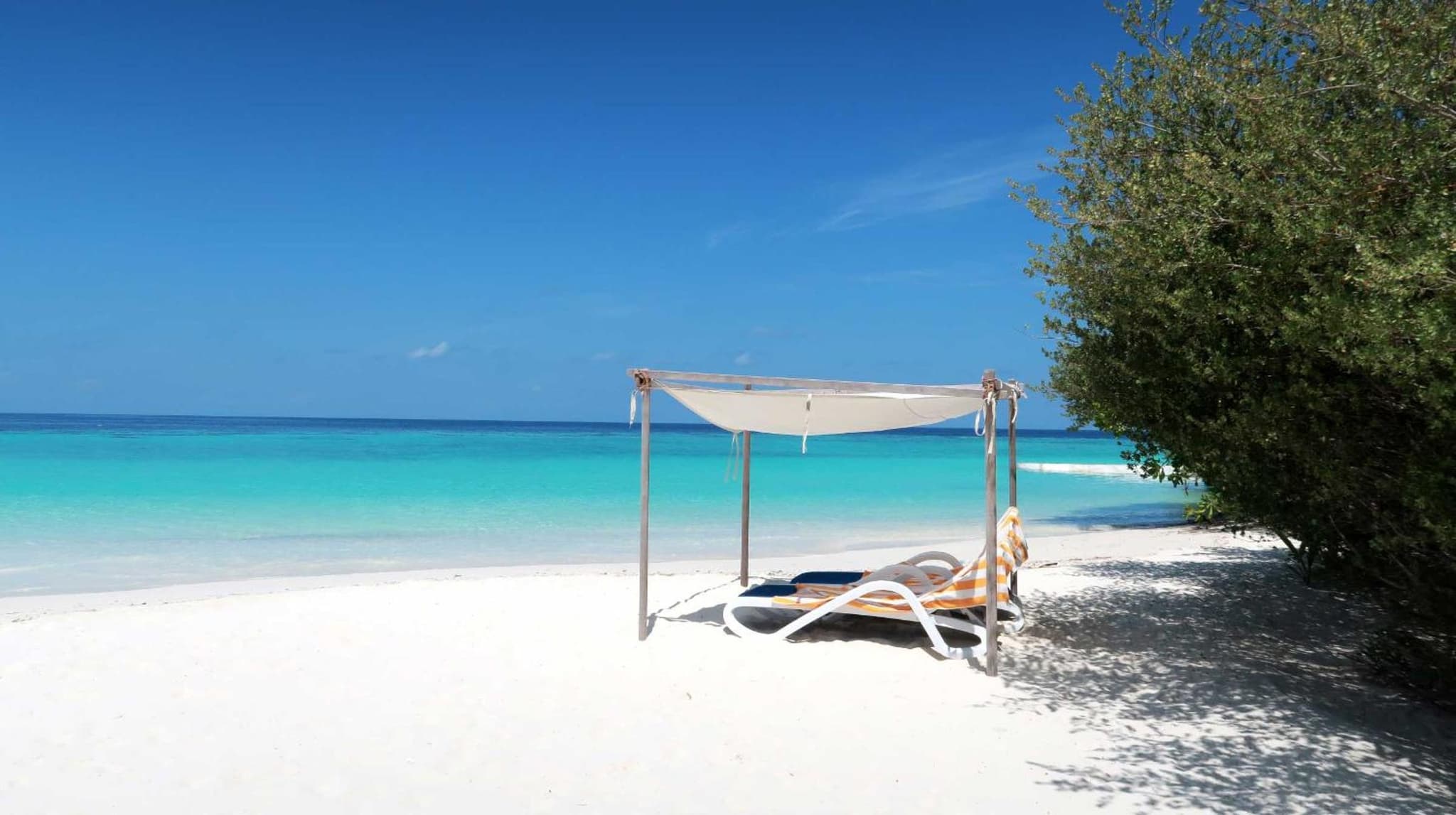 Eriyadu Island Resort photo 9
