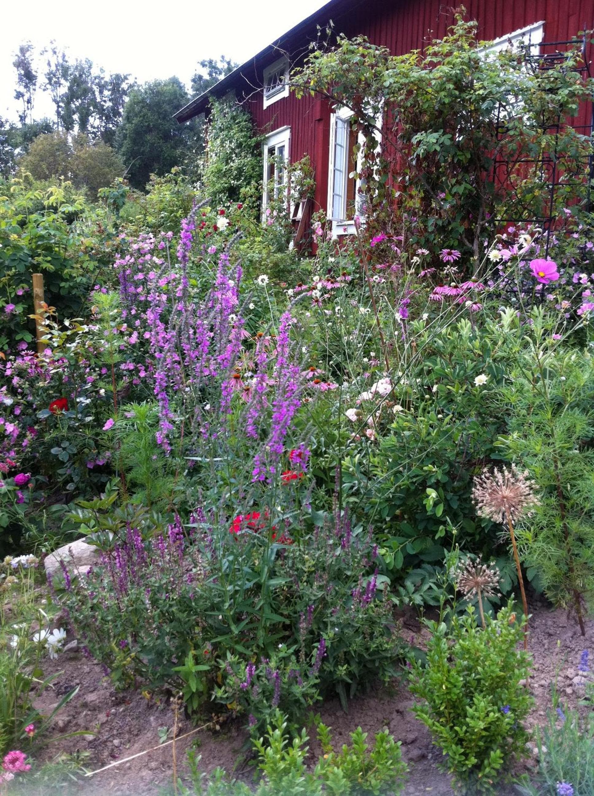Älvbacken B&B photo 2