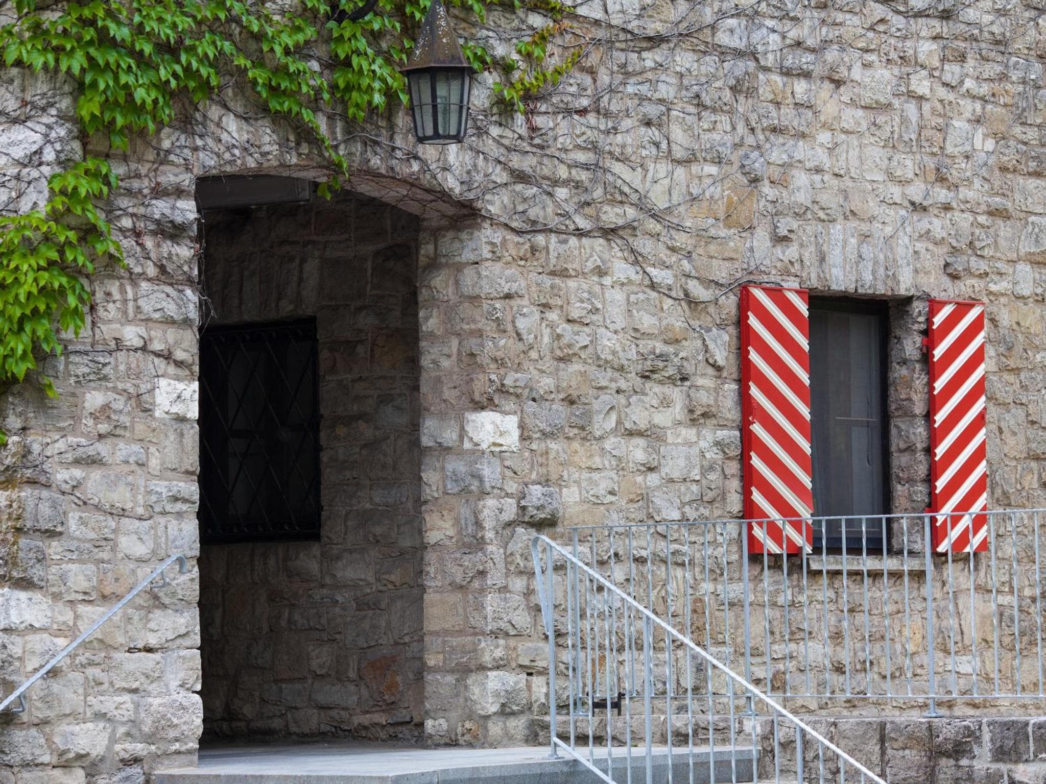 Cavallestro Classic photo 2