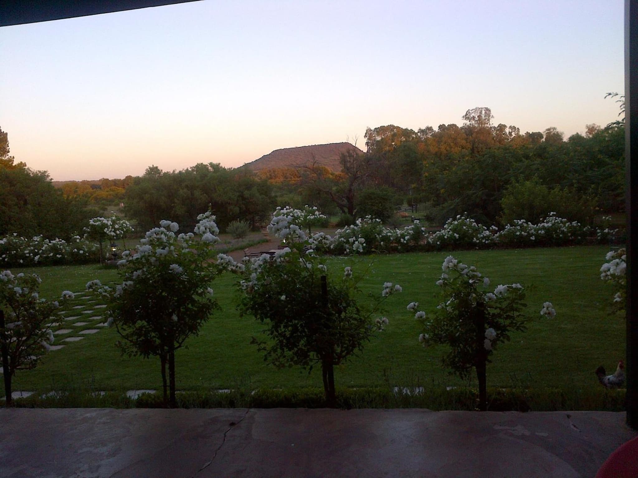 Olive Hill Country Lodge photo 3