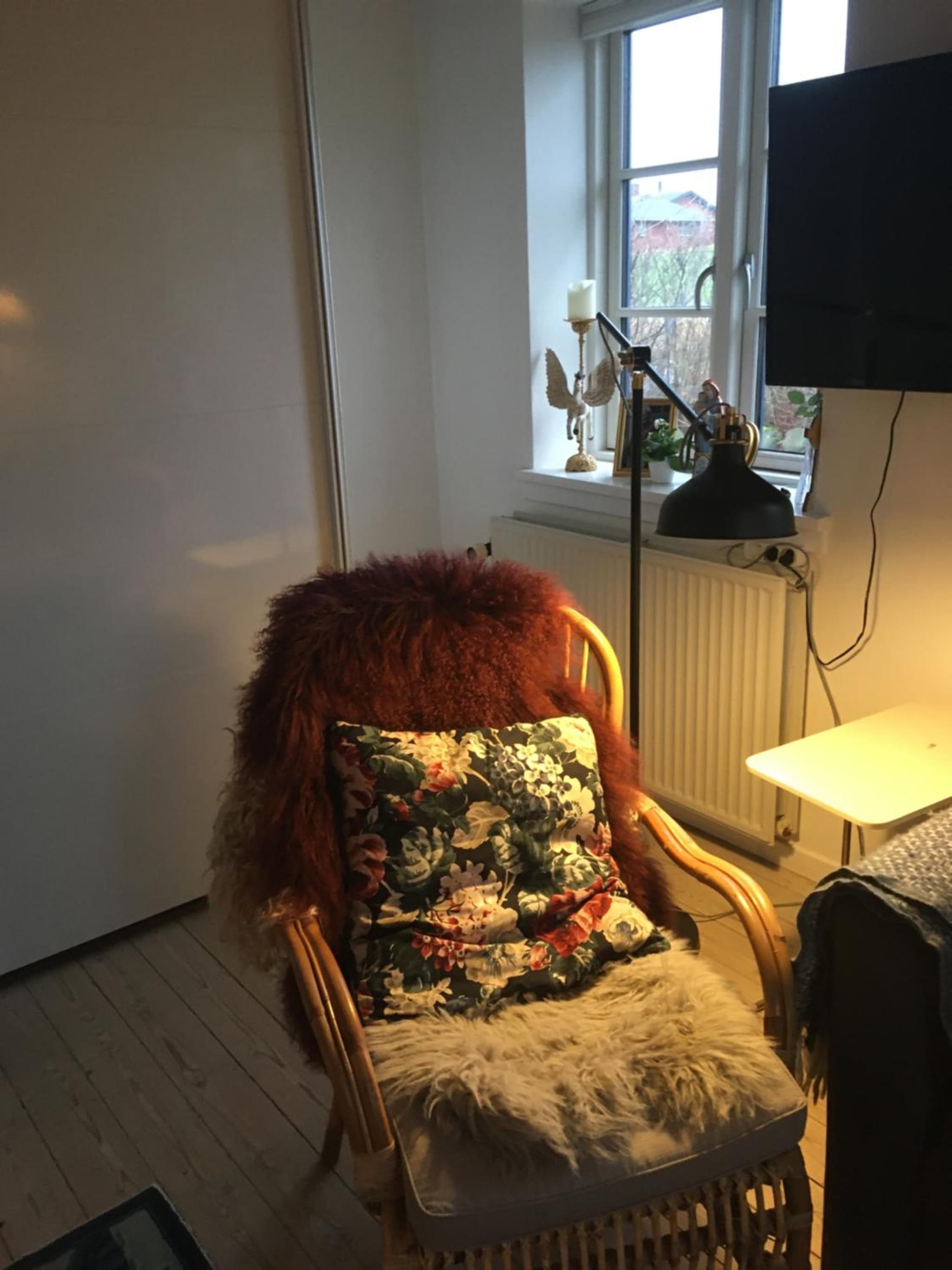 Pegasus Bed & Breakfast photo 9
