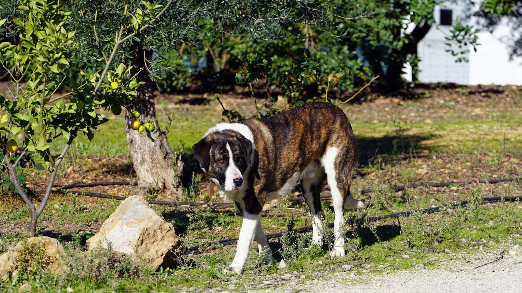 Hotel Rural Quinta do Marco - Nature & Dining photo 9