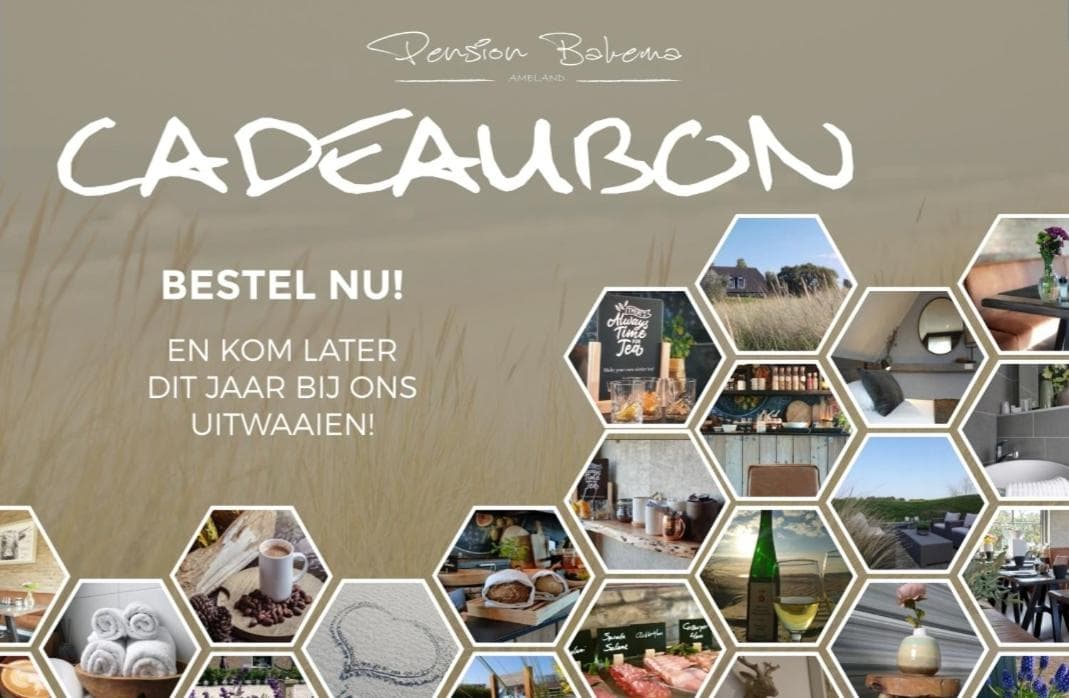 Pension Bakema Ameland photo 5