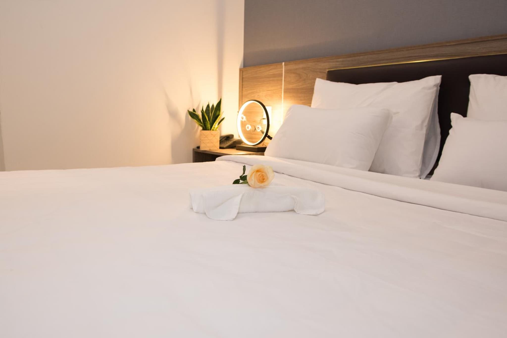 Amora Hotel & Apartment photo 3