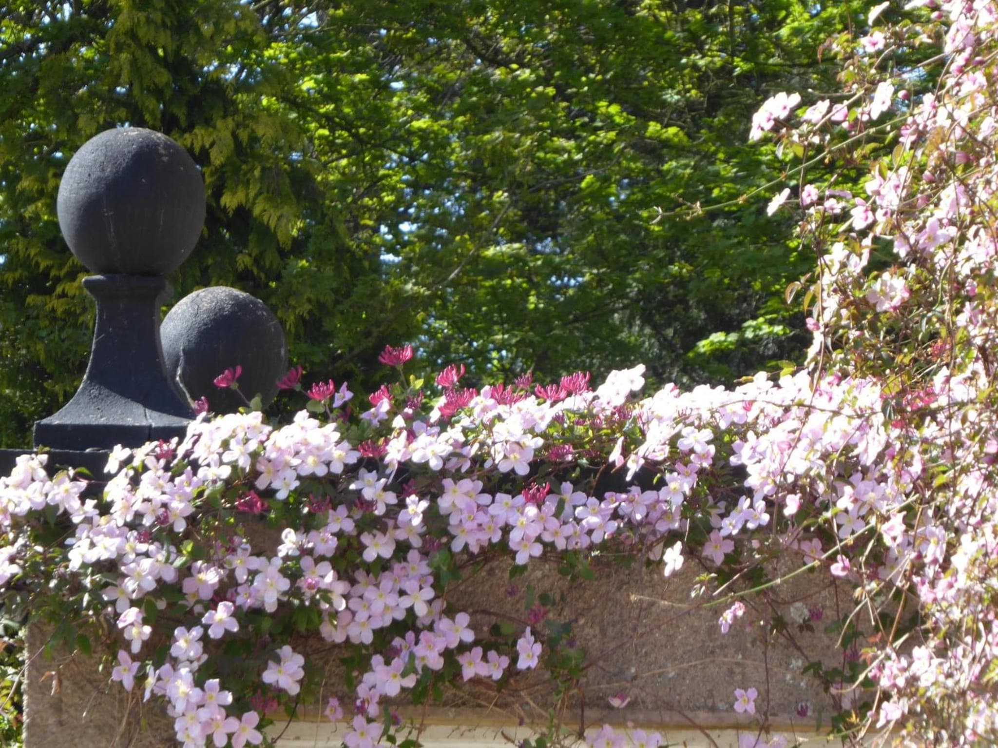 O'Harabrook Country House photo 6