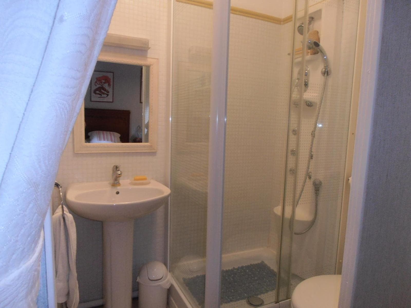 L'Orchidée photo 5