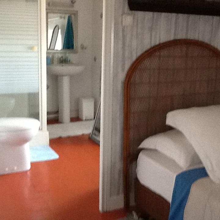 L'Orchidée photo 4