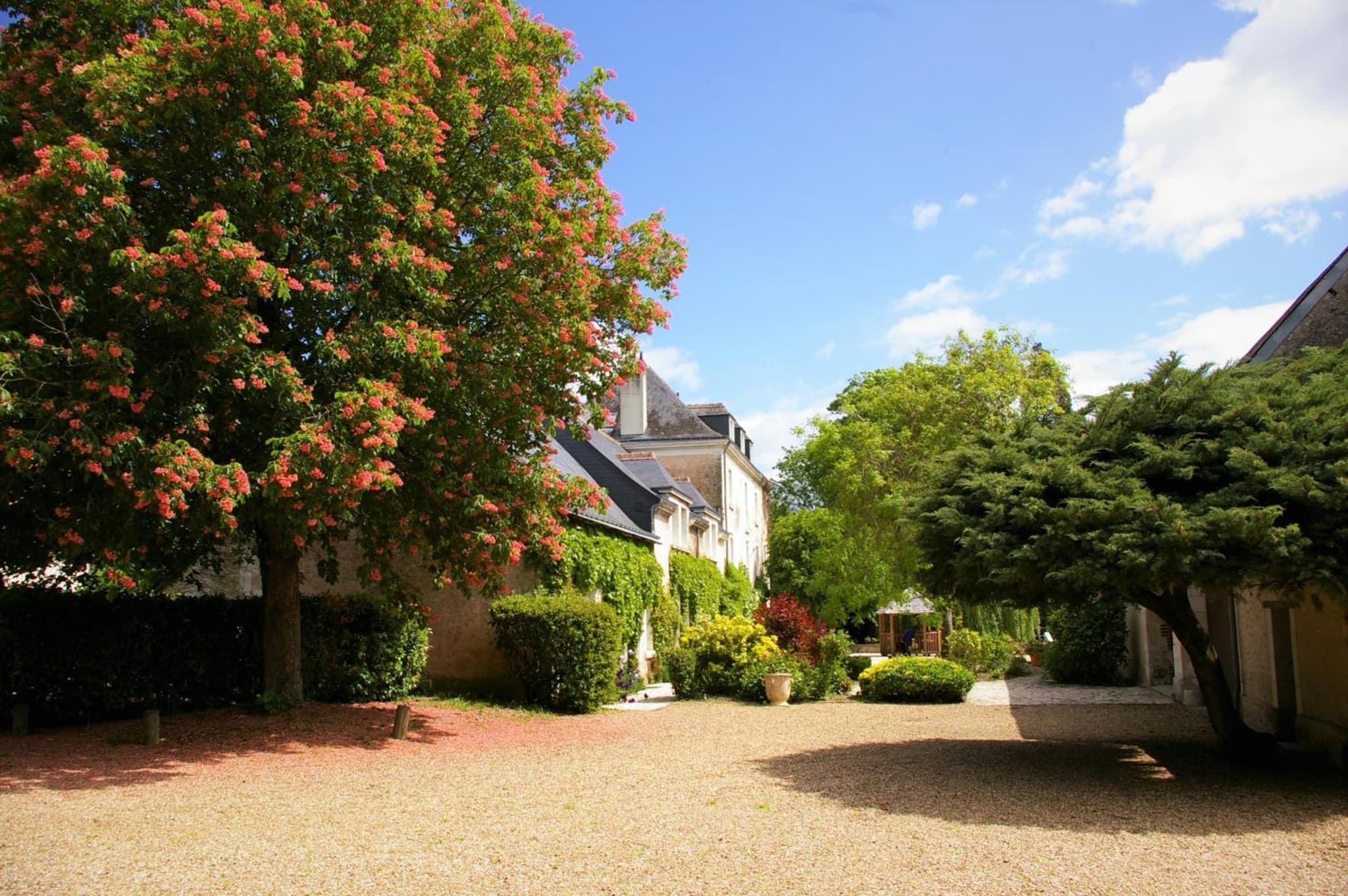 Moulin De Bacchus - Châteaux de la Loire