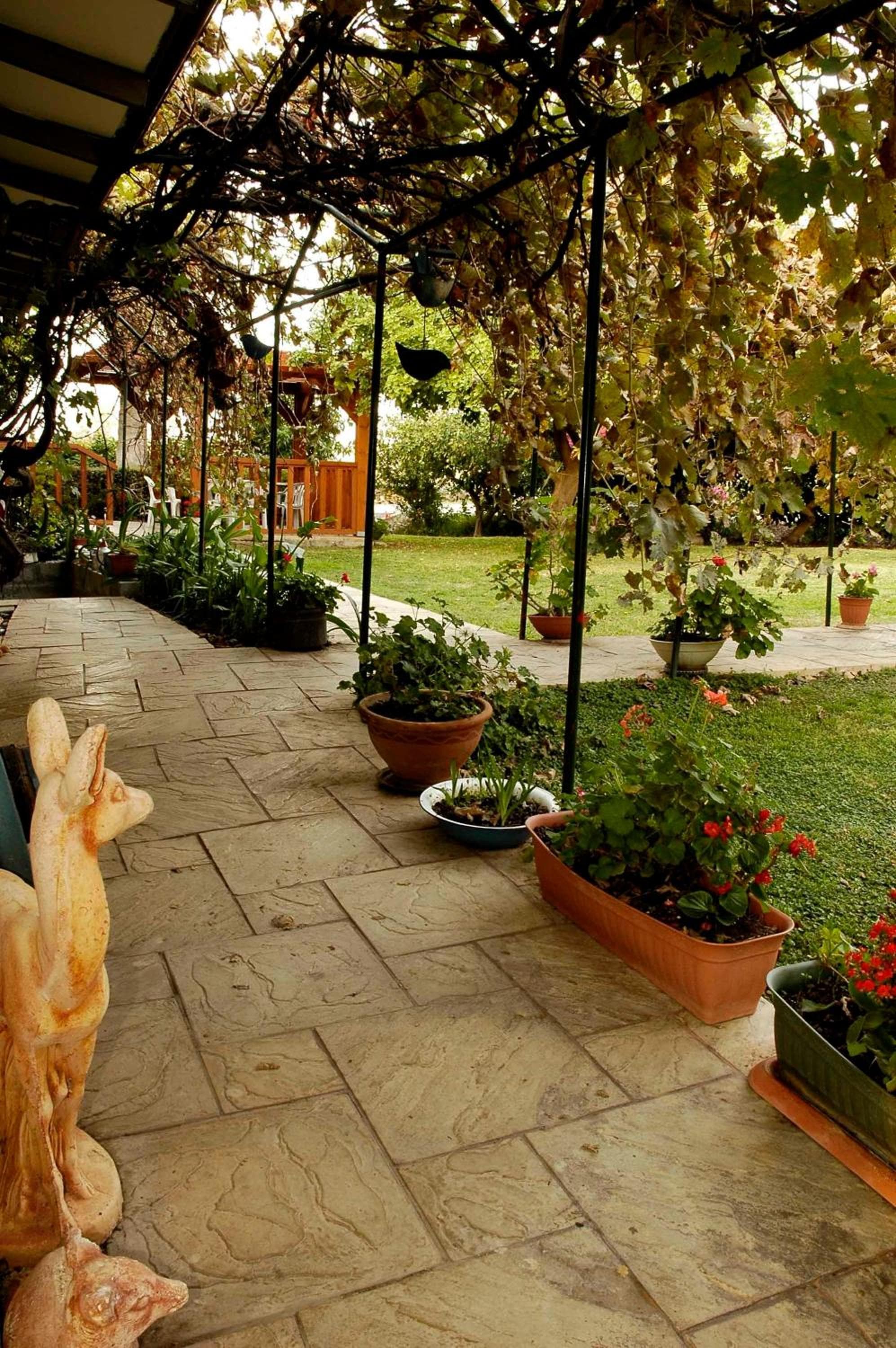 Arbel Guest House Shavit Family photo 3