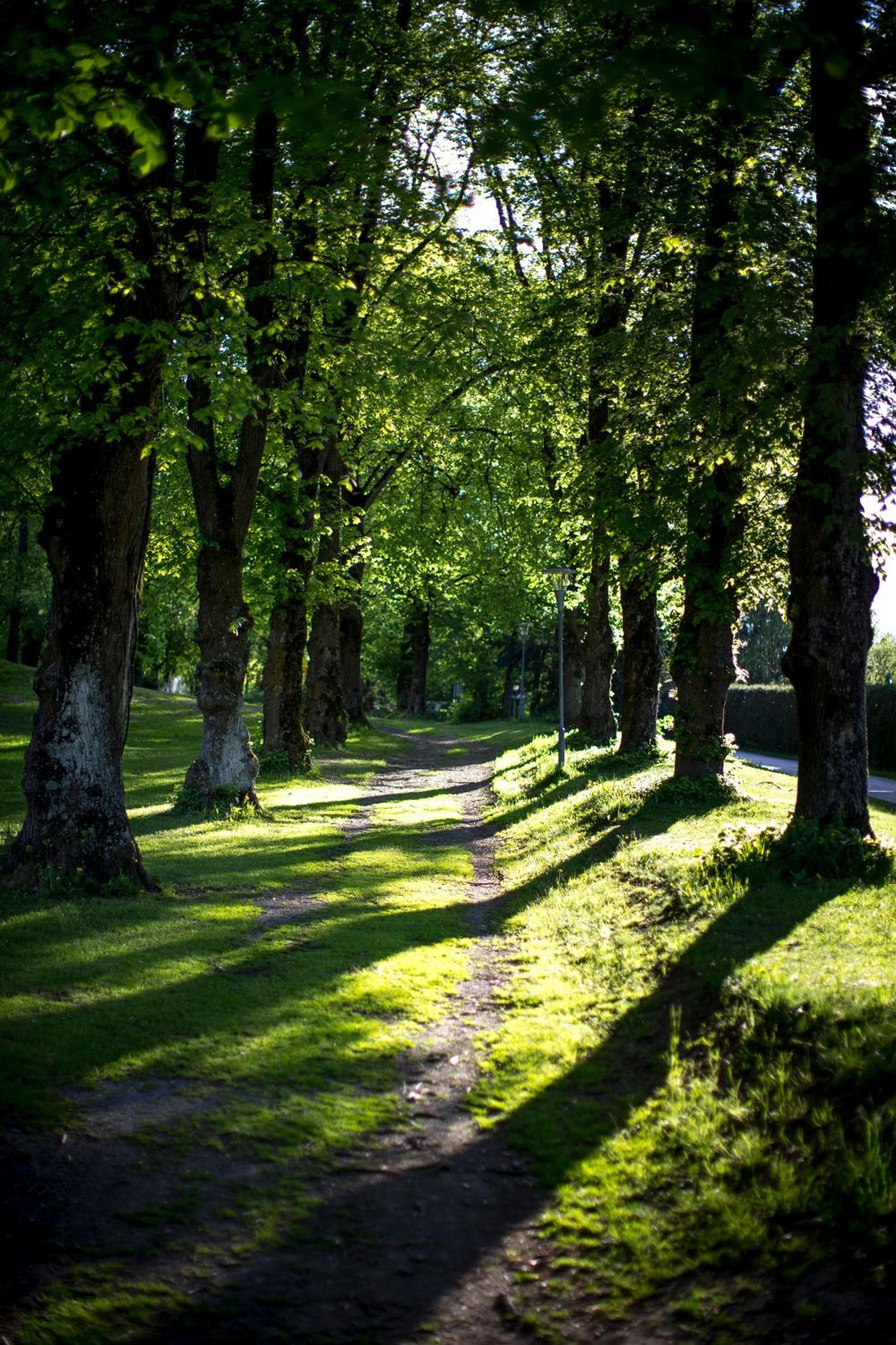 Raddörfl photo 2