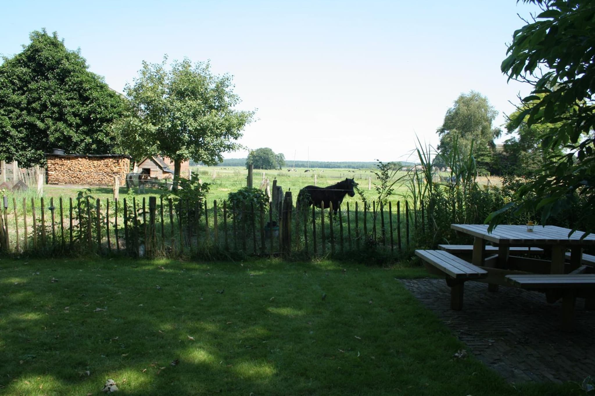 Het Spijkerhuys photo 2