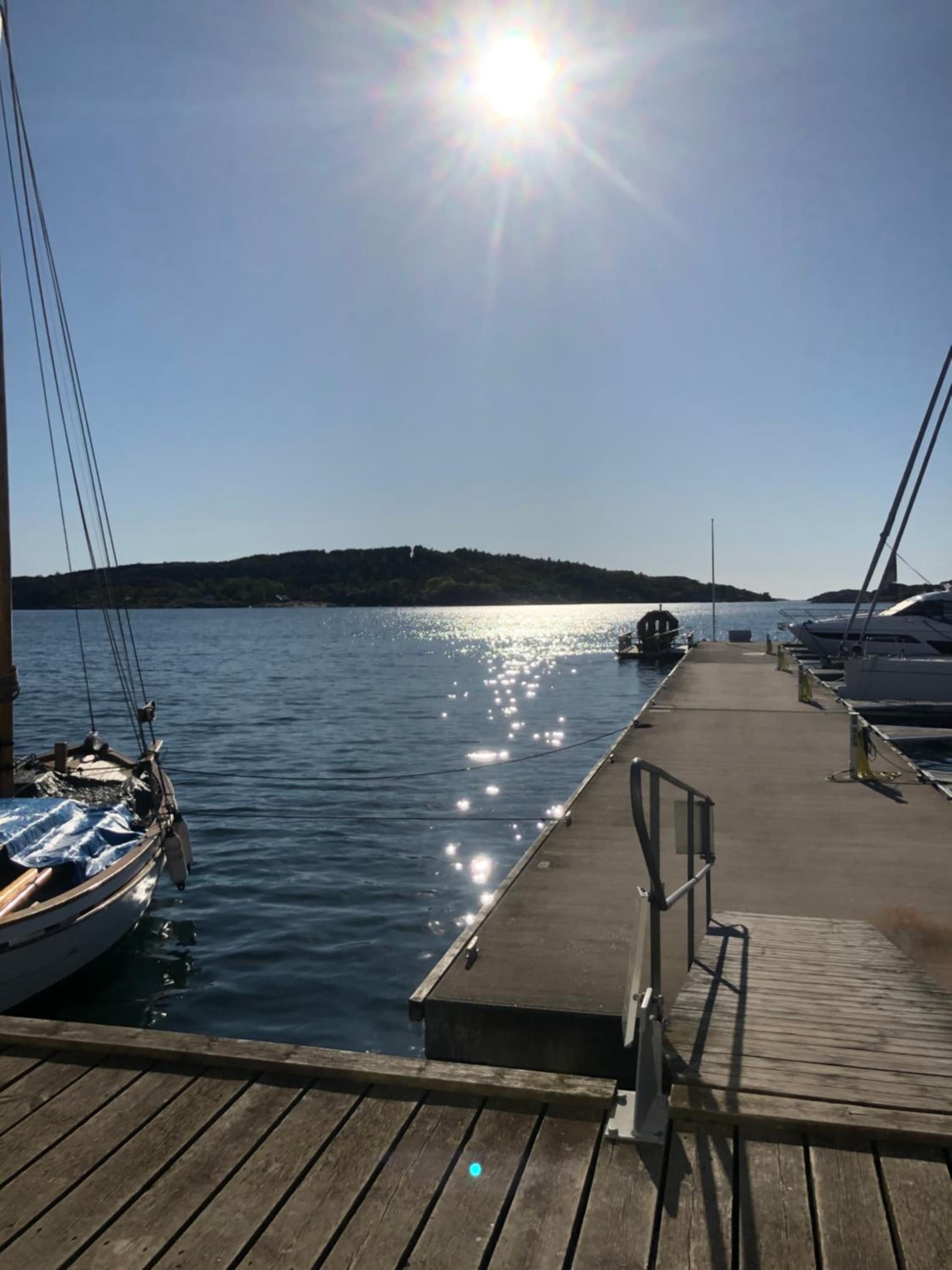 Marinan Richters photo 5