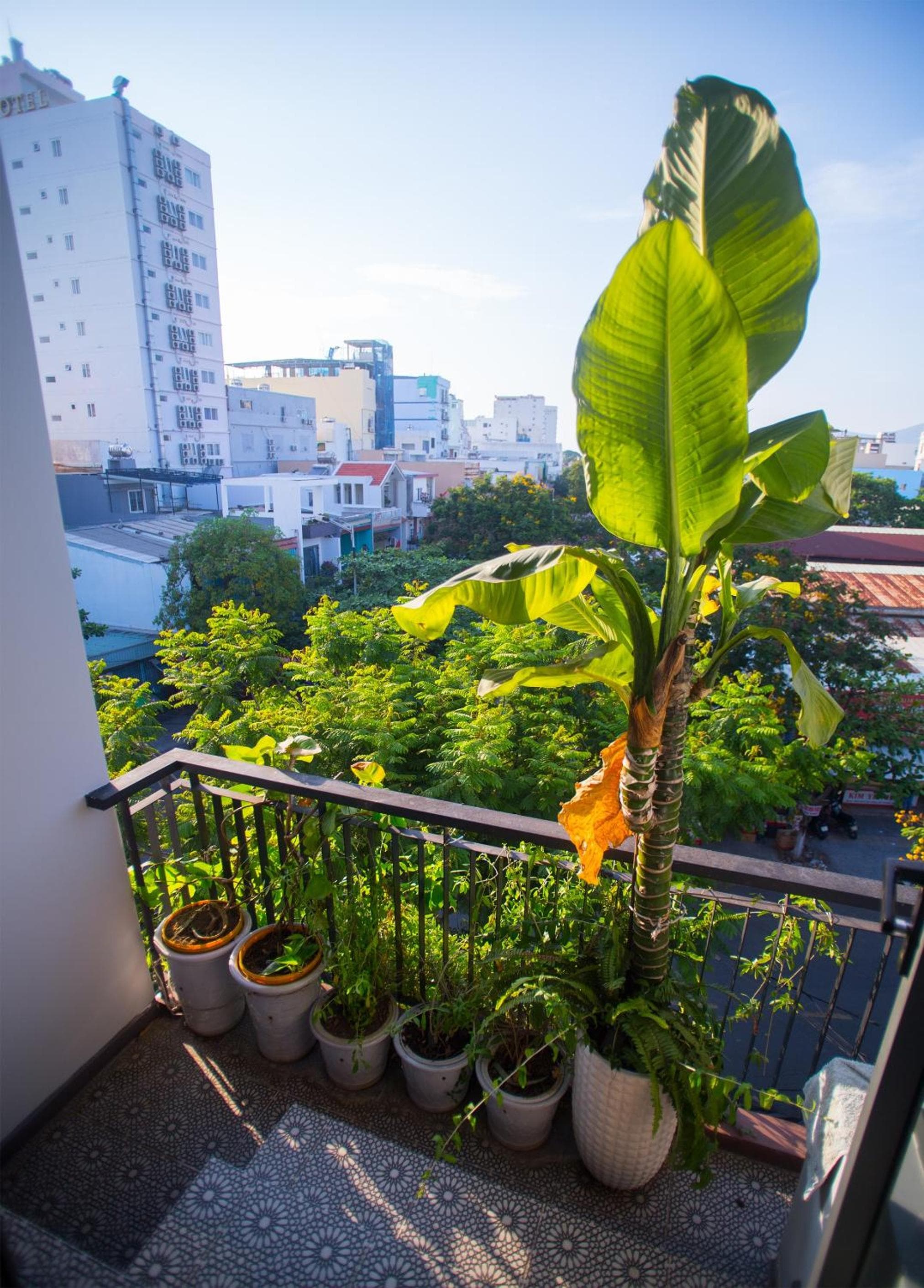 Kon-Tiki DaNang Hostel photo 2
