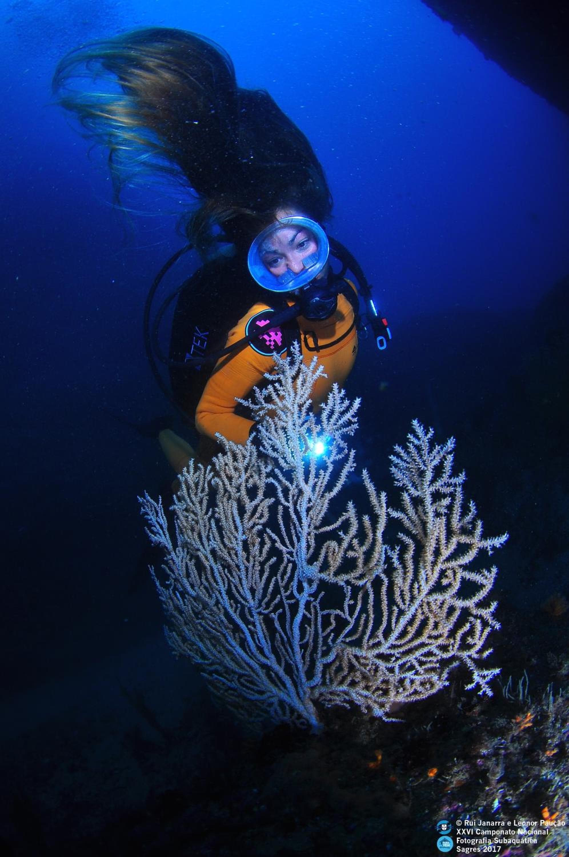 PuraVida Divehouse photo 9