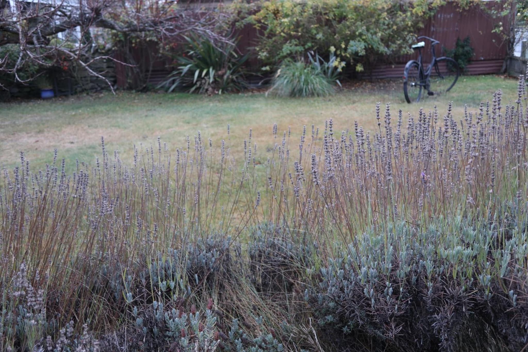 The Tinkers Cottage photo 2