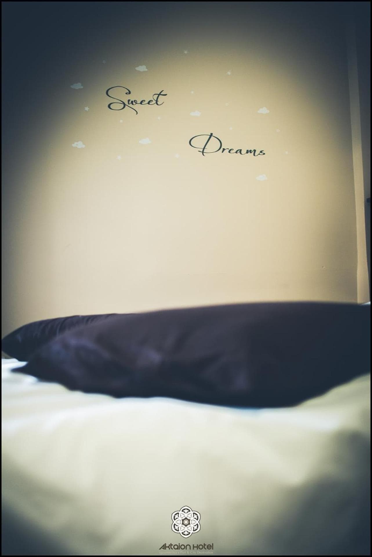 Aktaion Hotel photo 5