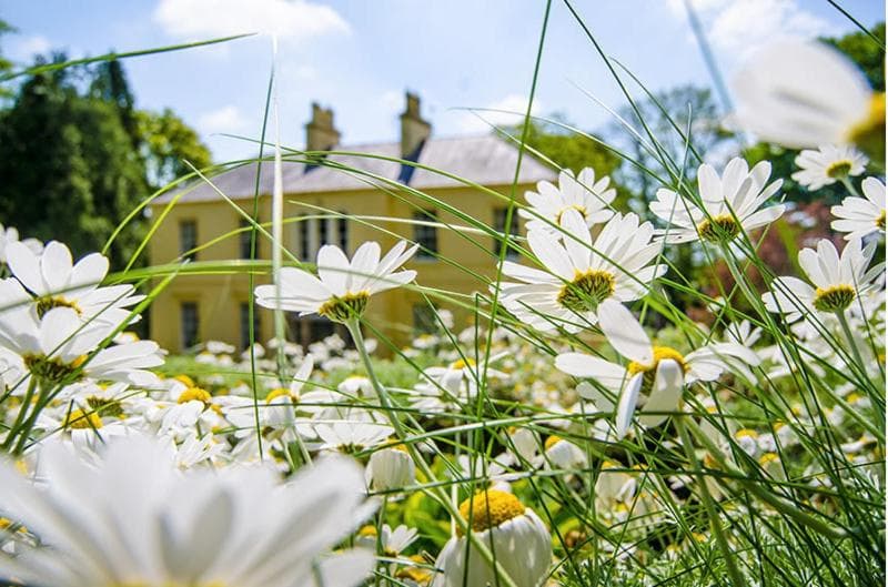 Nutgrove House Luxury B&B photo 9