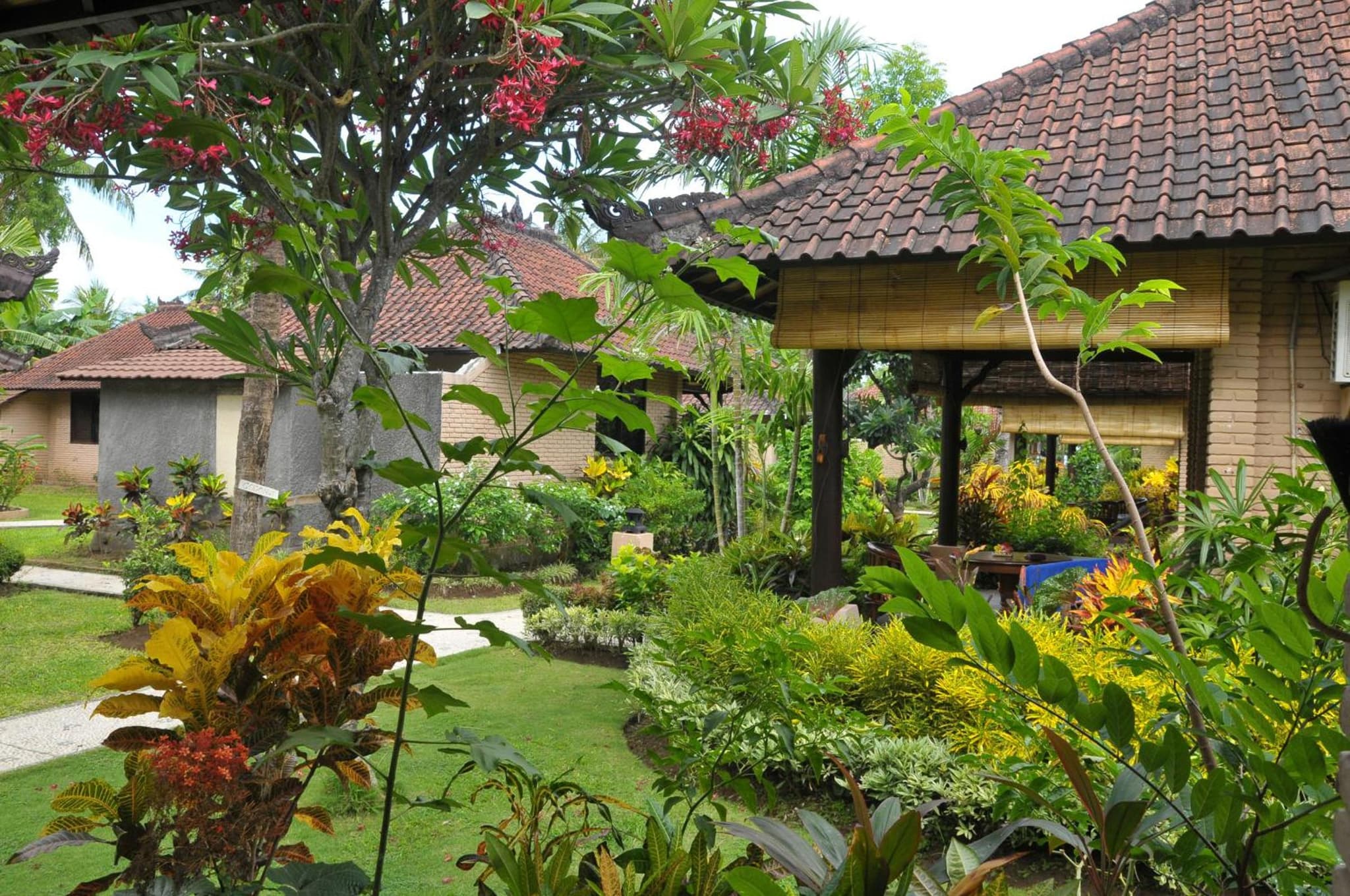 Hidden Paradise Cottages photo 6