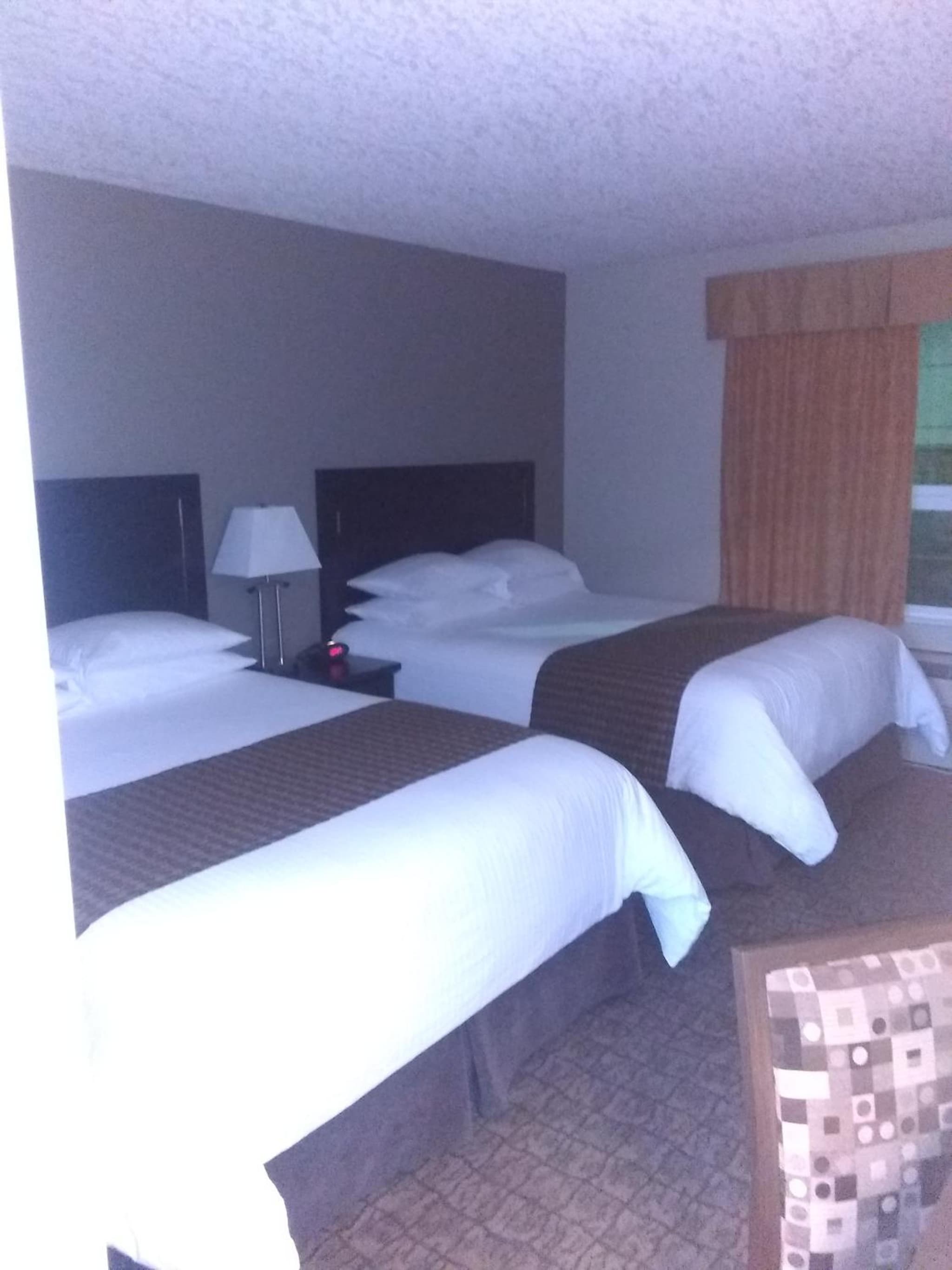 Econo Lodge Okotoks photo 3